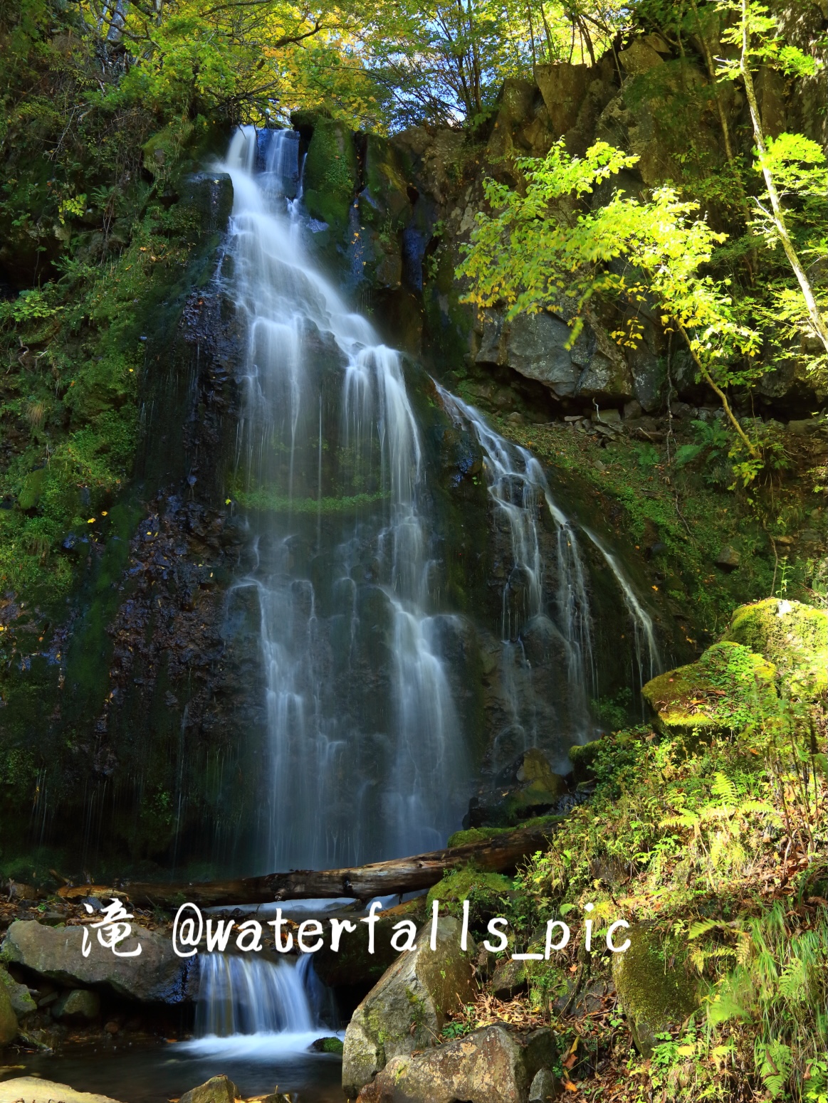 真作/篠崎小竹/瀑布画賛/瀧/滝/画賛/杉題箱付/布袋屋掛軸HJ-999 真作】//篠崎小竹/瀑布画賛/瀧/滝/画賛/杉題箱付/布袋屋