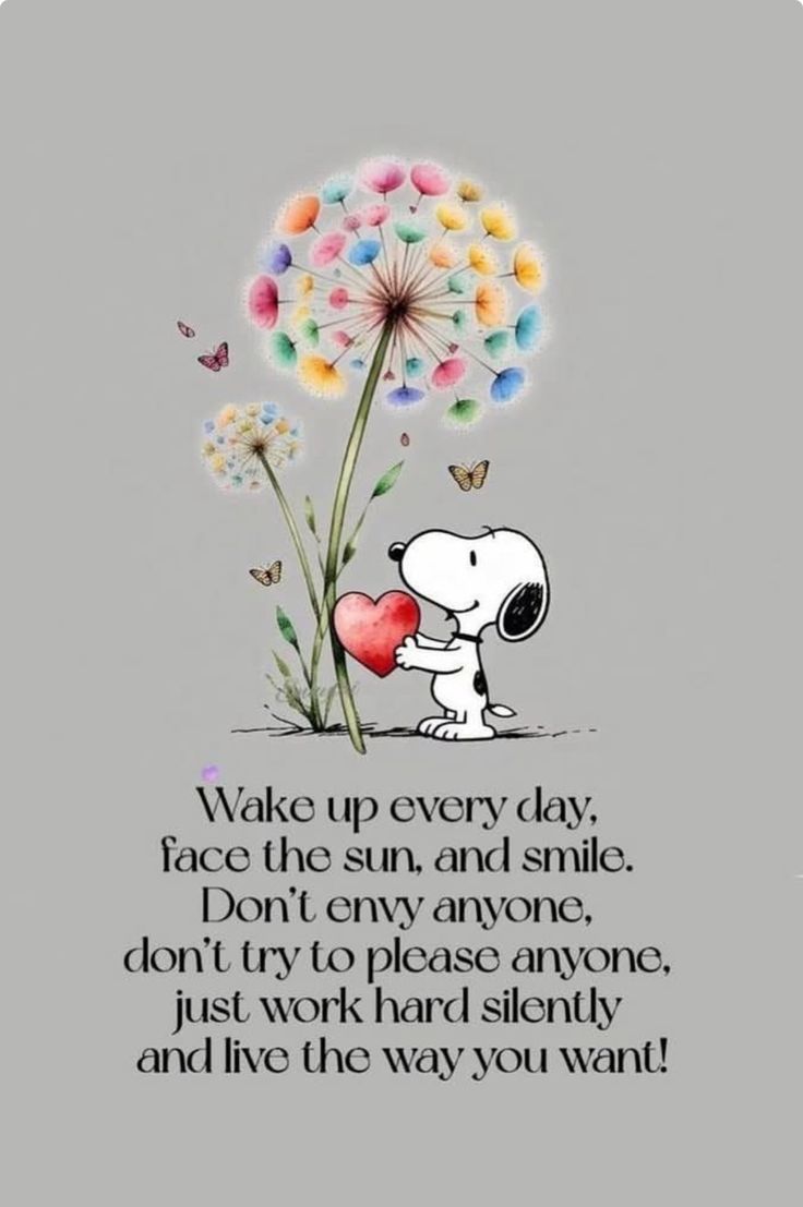 POSITIVITY (@positivitysaid) on Twitter photo 