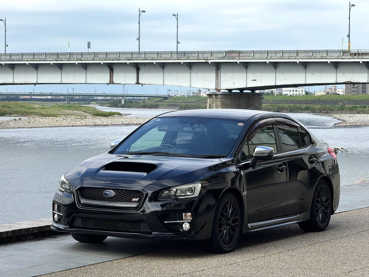 ドンガメ tweet media