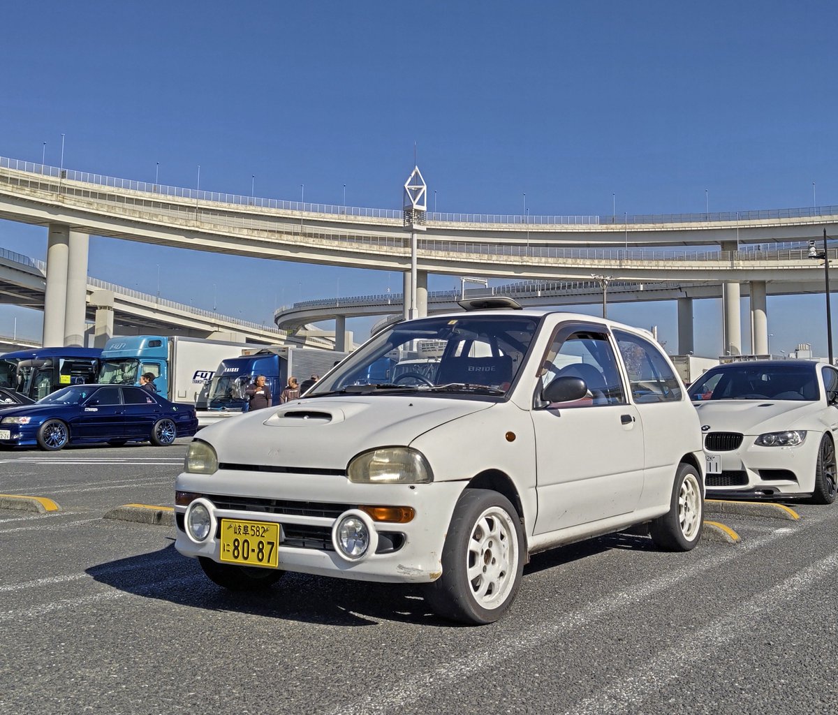 ドンガメ tweet media