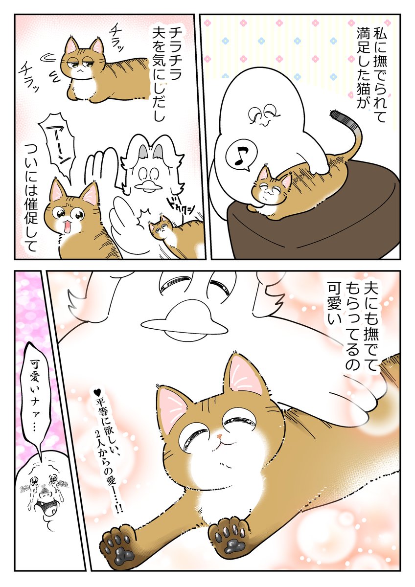 2人分愛されたい猫 