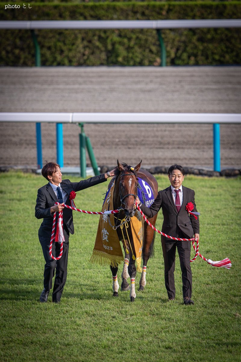 リバティアイランド - Search / X