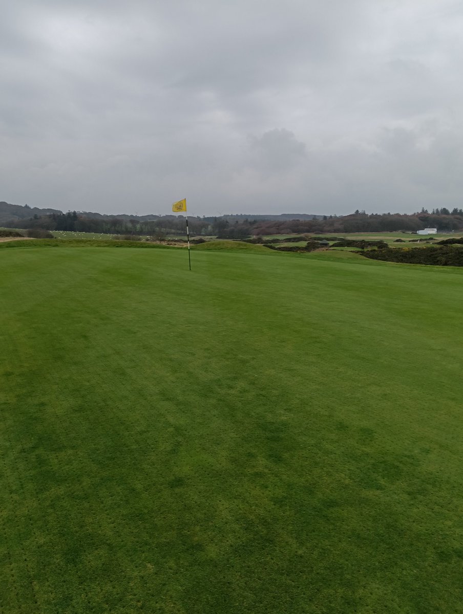 burhillcelt's tweet photo. Last big competition of the season here today Pros day,weather good, greens recovered well from autumn  maintenance and running at a nice nine on the stimp.Been a good season after a horrible start but we got there in the end. https://t.co/N7d1IByoes