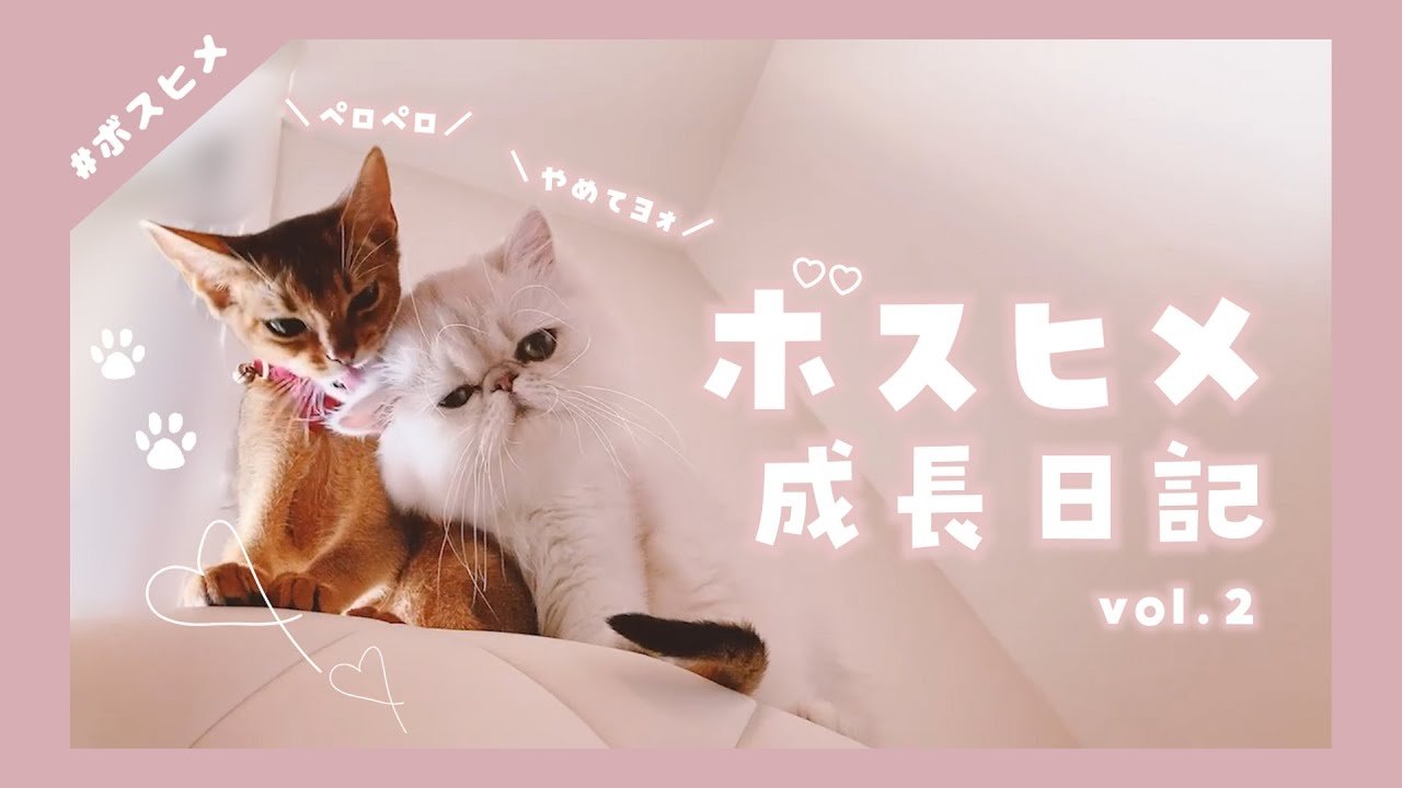 ぐーたらさん専用 ぐーたら__´ω`)_ (@whatweneed8837) / X