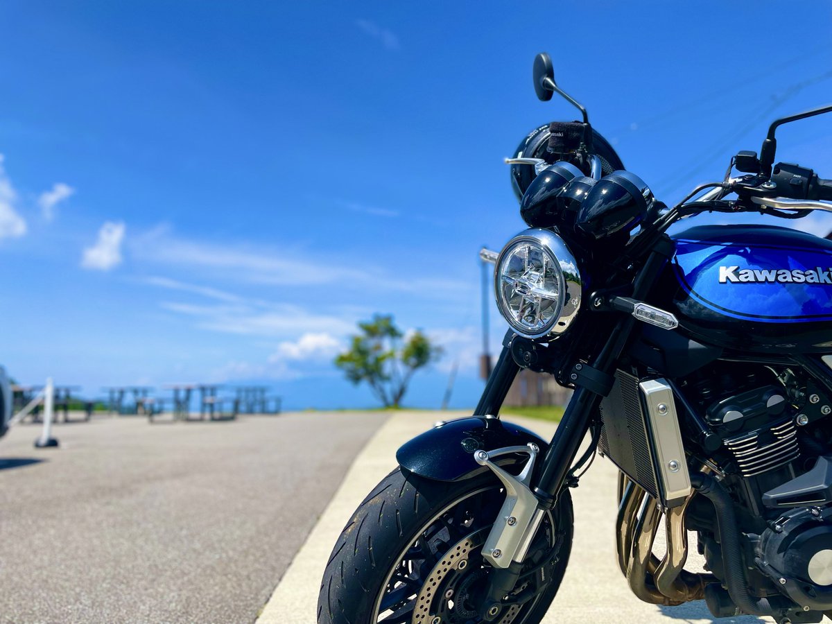 ねねこ ねねこ (@n_nekoyashiki) / Posts / X