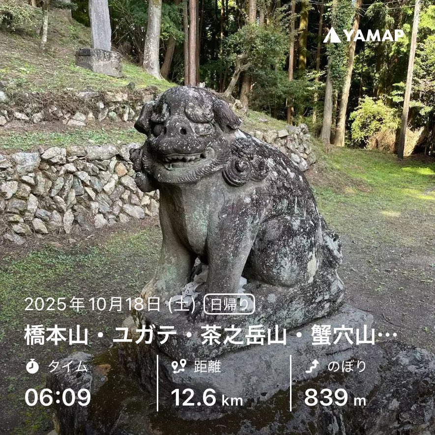 橋本山・ユガテ・茶之岳山・蟹穴山・大沢山・越上山・顔振峠・育代山 yamap.com/activities/437… #YAMAP #山歩しよう