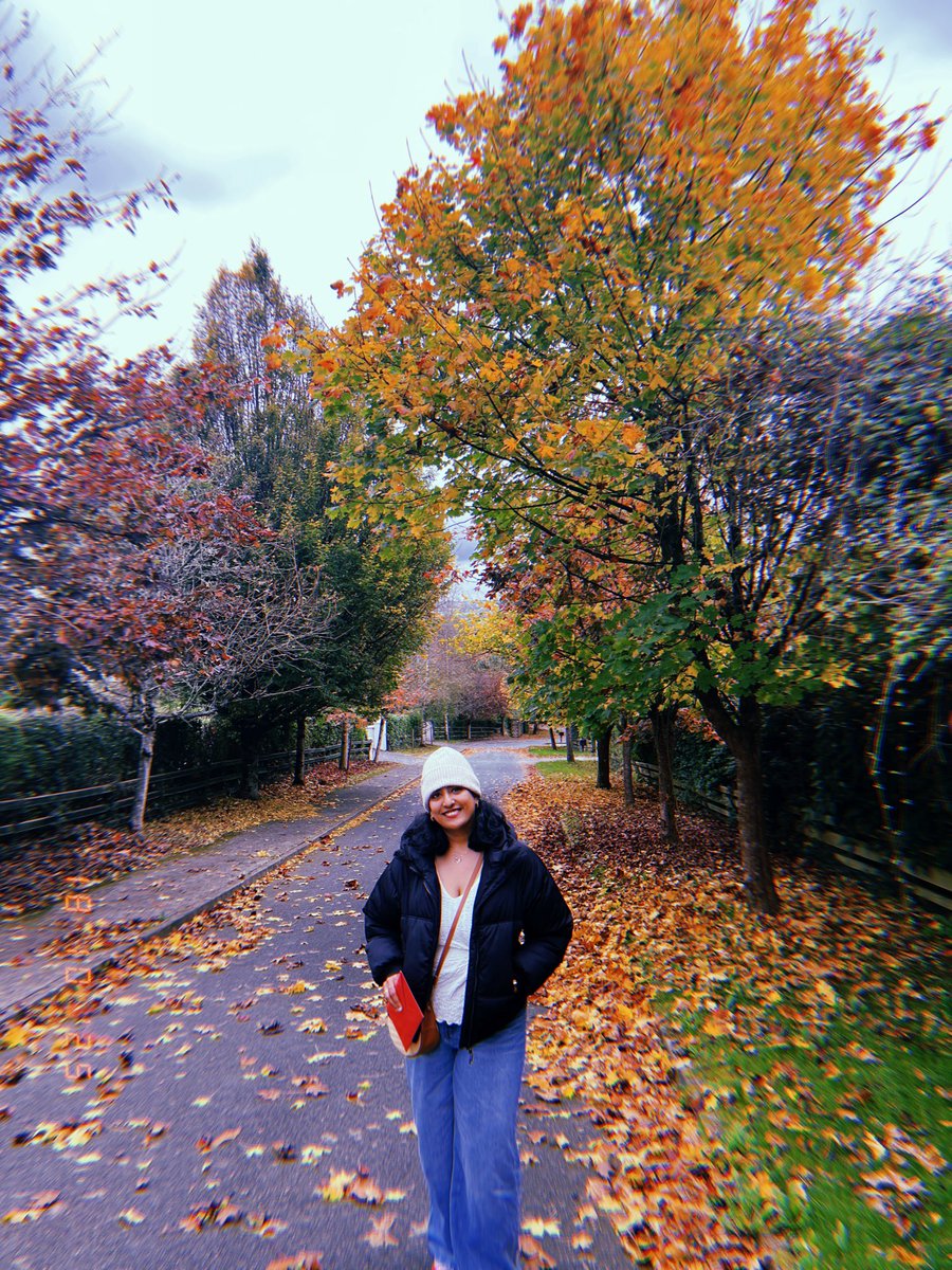 31 ✨✨✨