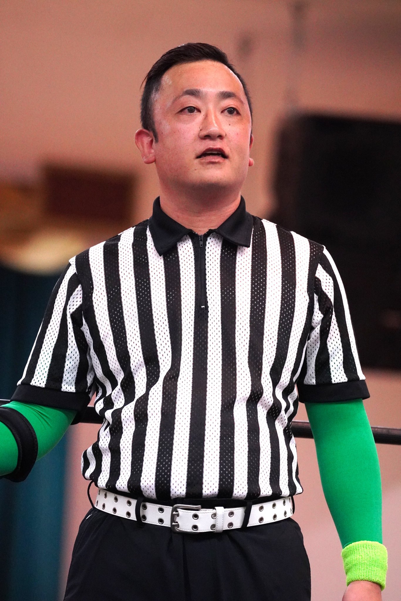 🐦🦊ぴょん🙏にょき🦊🐦 on X: 