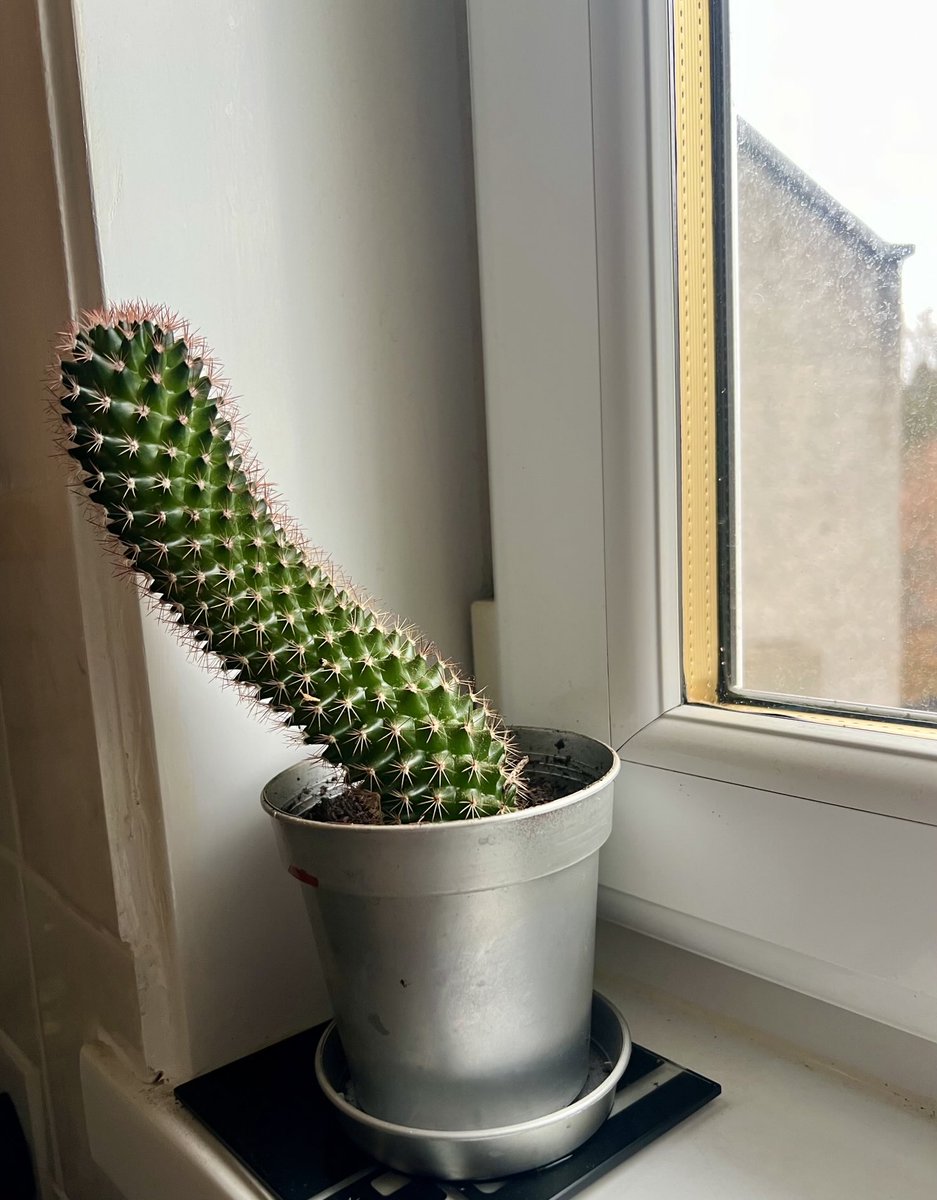 IdMorg214's tweet photo. Not sure if this one is trying to tell me something serious curvature going on here 😂 https://t.co/LofdbVqwVv