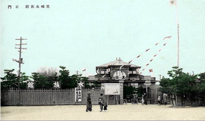 梅乃木彬夫(うめのき あきお) tweet media