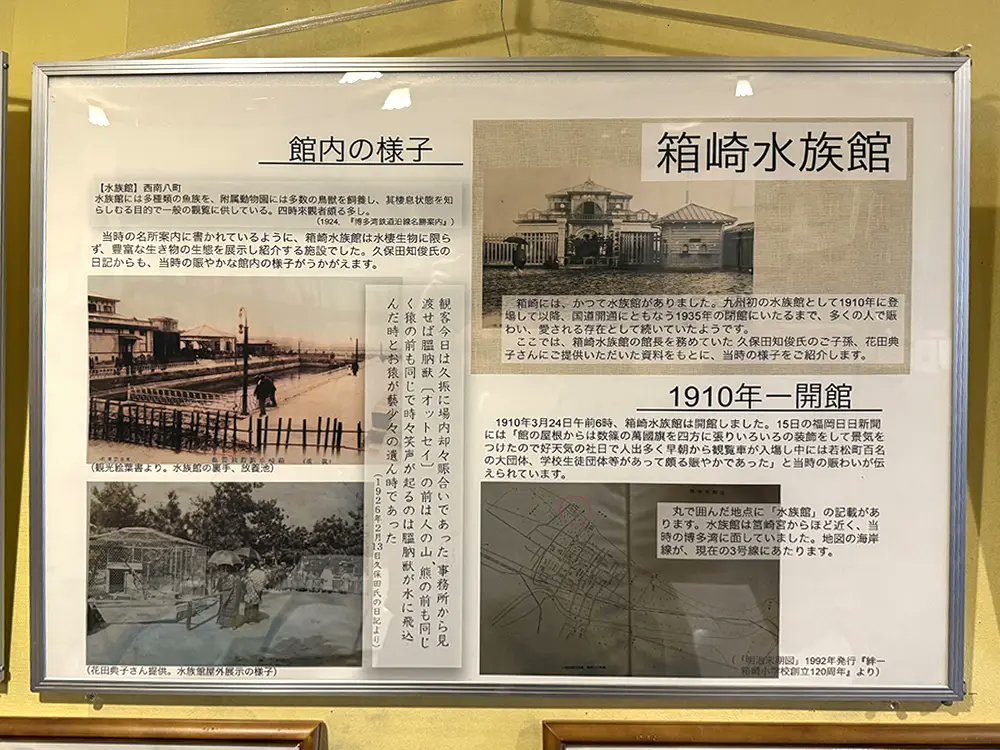 梅乃木彬夫(うめのき あきお) tweet media