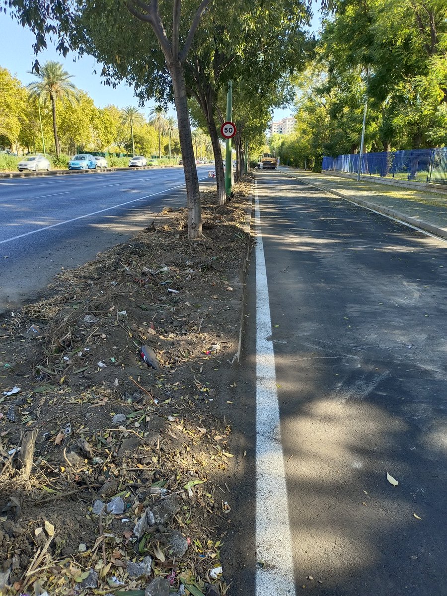 Las obras en Sevilla están arrasando la vegetación urbana

Tranvibús, metro, cualquier actuación de la GMU rara vez tiene en cuenta la importancia de conservar el verde

Y ésto, ¿Qué es?

¿Qué hace una excavadora arrancando adelfas. Los arboles sin protección alguna?

Kansas City