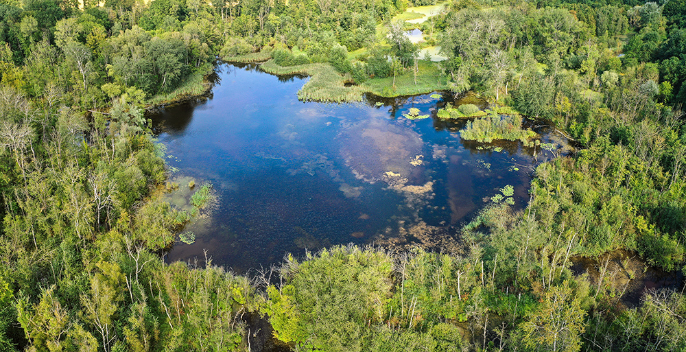 🌳🤩 Pendant les #vacances, profitez des Sorties &amp; Animations d'#Eden62 ! 🍃 Plus d'une douzaine d'événements attendent petits et grands au plus proche de la #nature🚶Trouvez les sorties &amp; animations d'Eden62 près de chez vous grâce à la carte interactive :eden62.fr/sorties-nature…