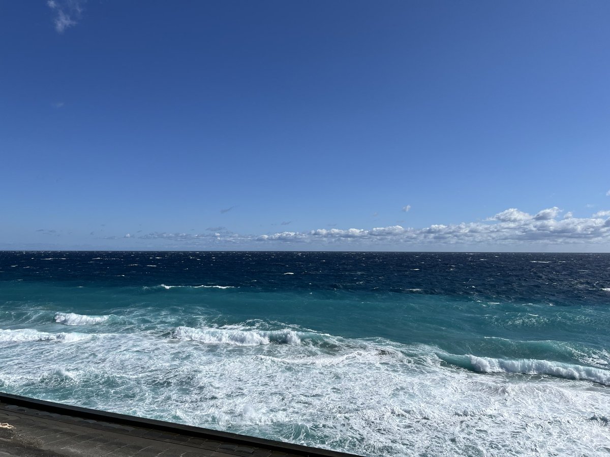 Kyonkogram's tweet photo. 新島、本当に良かった…！！
きょんこの聖地全部巡れたし、景色もご飯も本当に最高だった \( ¨̮ )/ https://t.co/VUpVPJGrpO