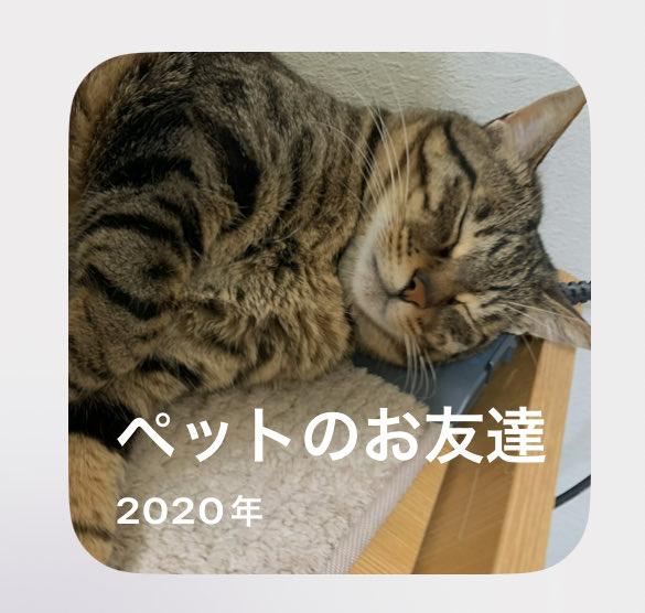 iPhone君かわいいかよ