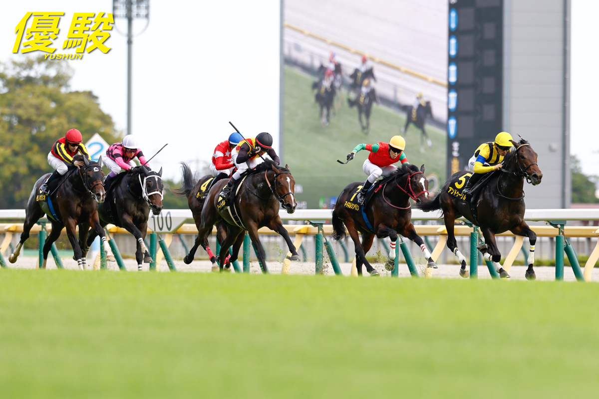 優駿フォトコレクション サウンドトゥルー 優駿フォトコレクション