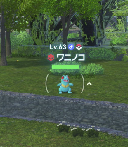 ポケモン② mqdefault.jpg