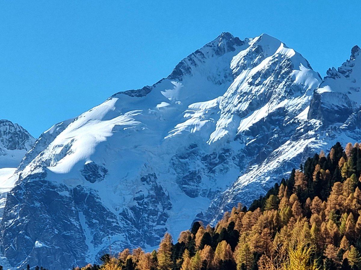 subfossilguy's tweet image. Piz Bernina this morning! 😍