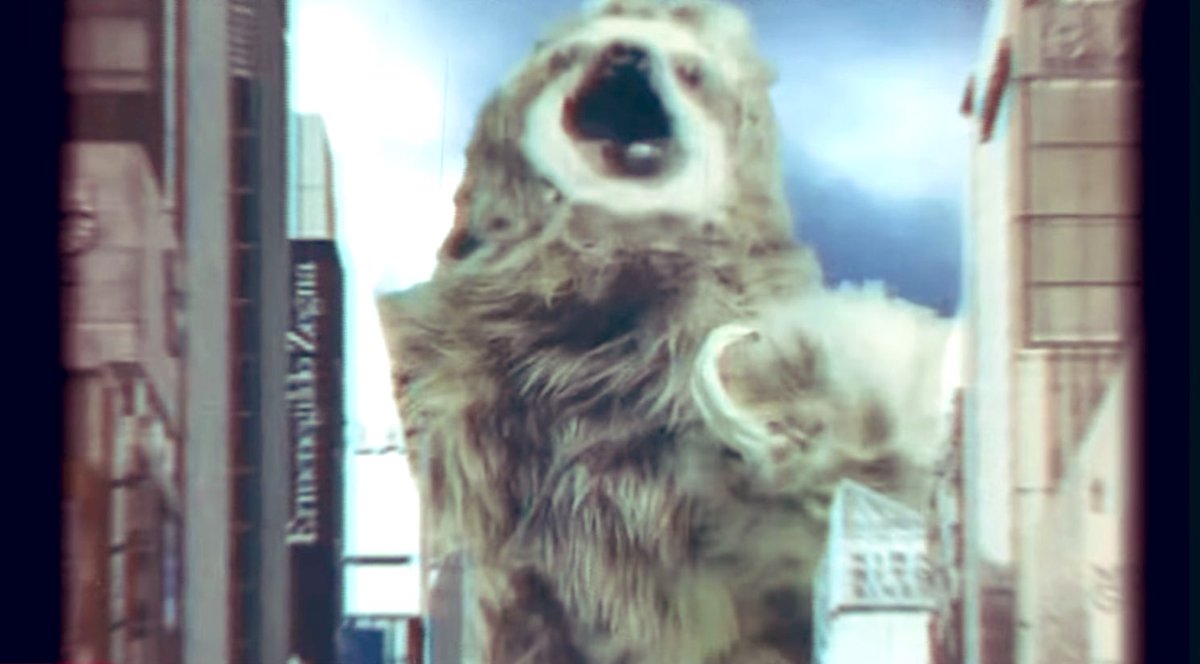 ナマケモノのんびぃ (@yuruyaka_nonby) / Posts / X