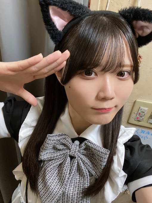 にゃんこメイドカフェ にゃんさんぶるのツイート
