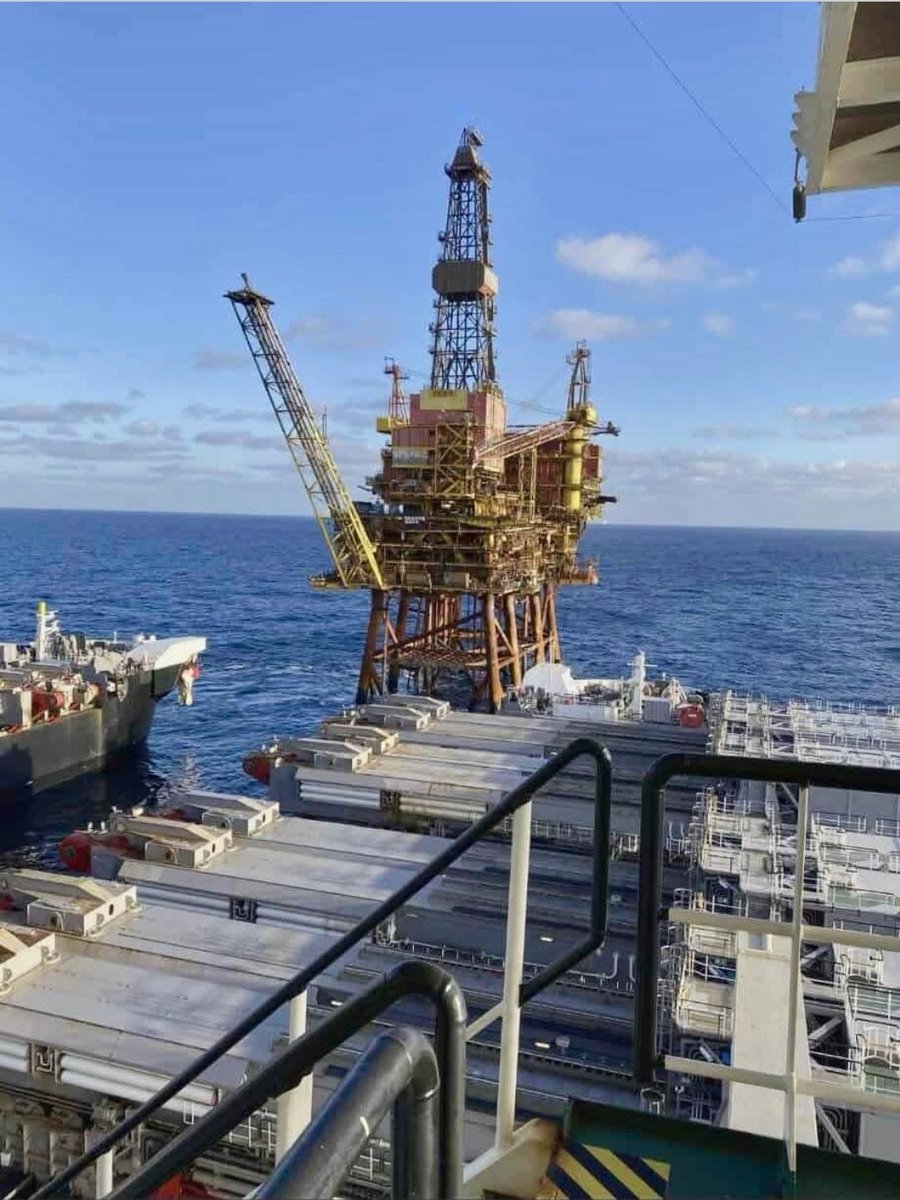 Ali Garb 😊🐞🐛🦋 tweet media