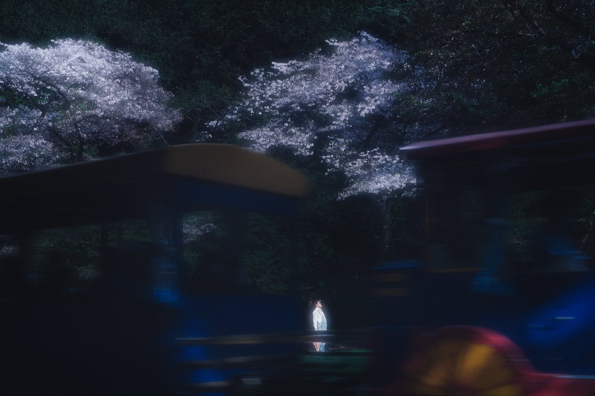 『夢幻列車🌸』