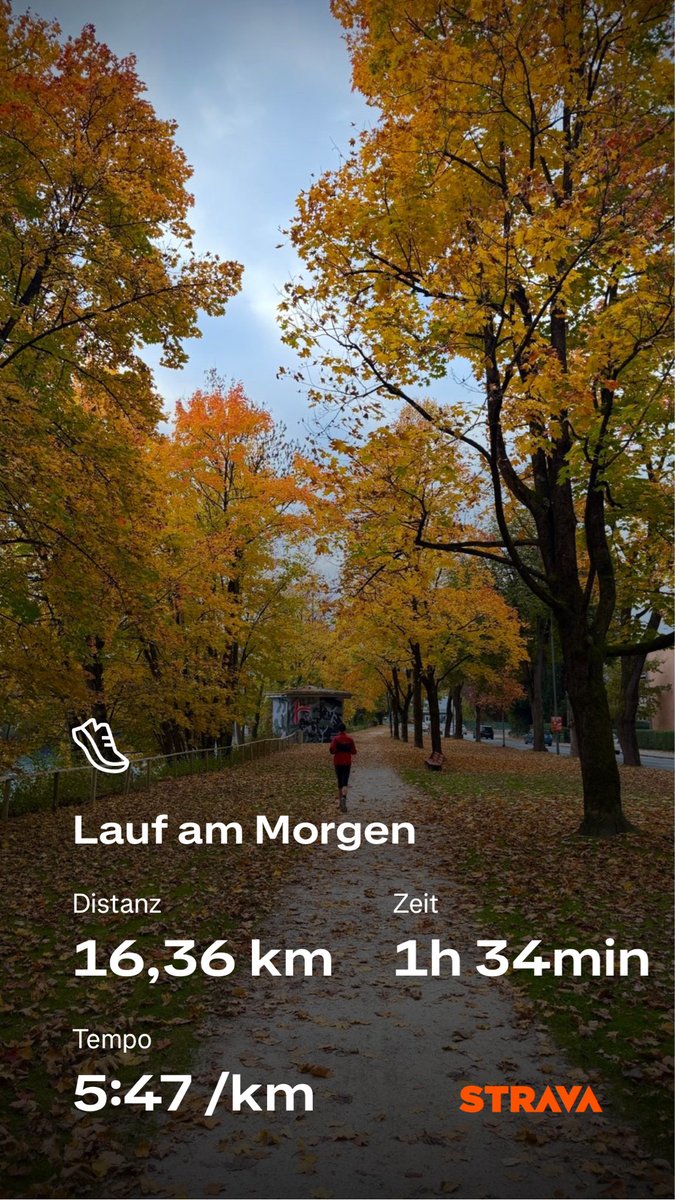 HaraldHolzhamm1's tweet image. …longrun mit Reinhard…16k..#Innsbruck 
#timetoplay #shotoniphone #keeponrunning #visionofpictures #nevernotrunning