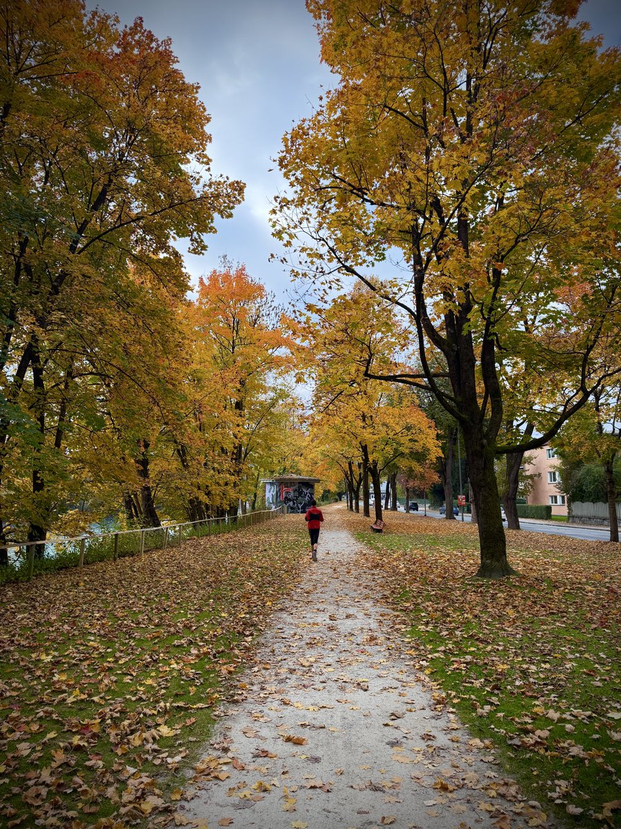 HaraldHolzhamm1's tweet image. …longrun mit Reinhard…16k..#Innsbruck 
#timetoplay #shotoniphone #keeponrunning #visionofpictures #nevernotrunning