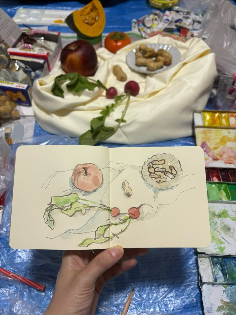 momoko doll/ドル萌々子 (@kujiragumo1215) / Posts / X