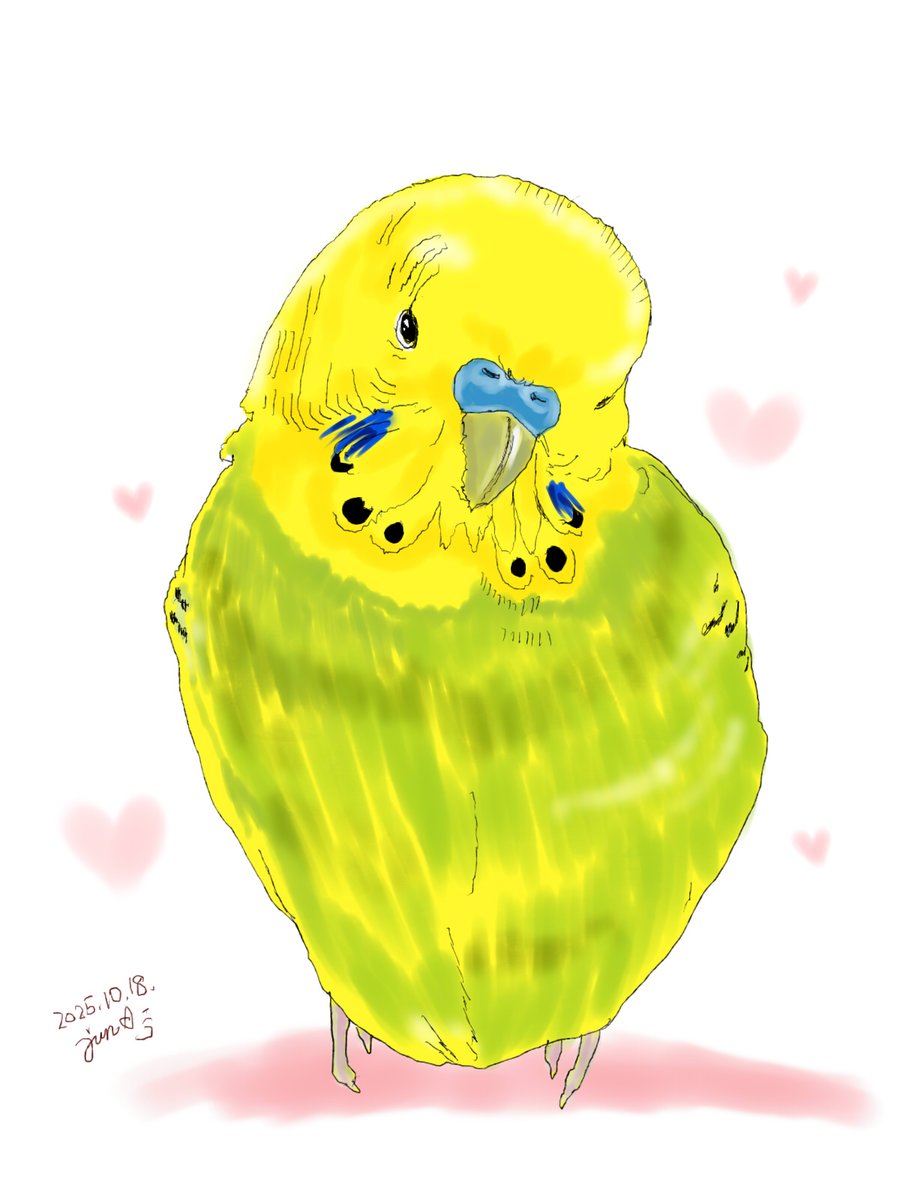 ぴー (@CgncoDqBq48K3oh) / Posts / X