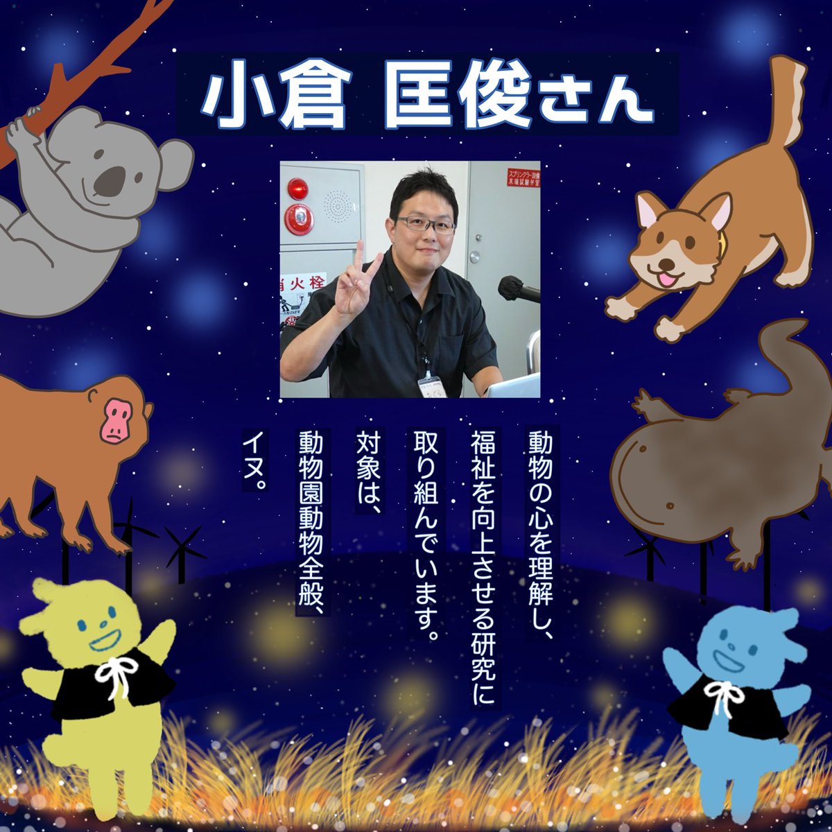 どうぶつたちの眠れない夜に tweet media