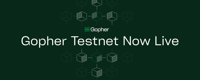 Slurrypatty's tweet image. Comprehensive guide to Join the @gopher_ai  Testnet

Steps below 👇👇