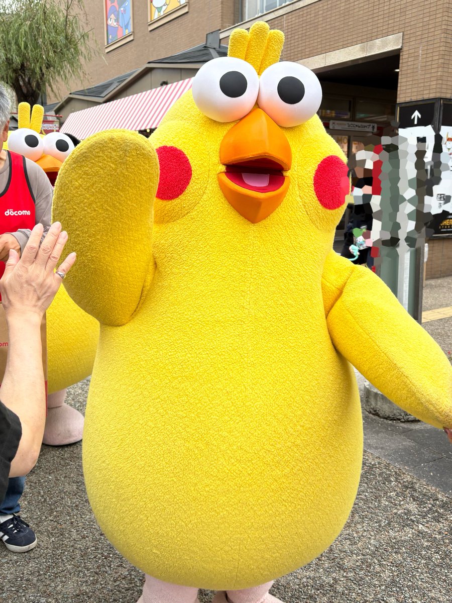 ポインコと山歩き🐥🐥🐾 (@paopaopanda_jp) / X