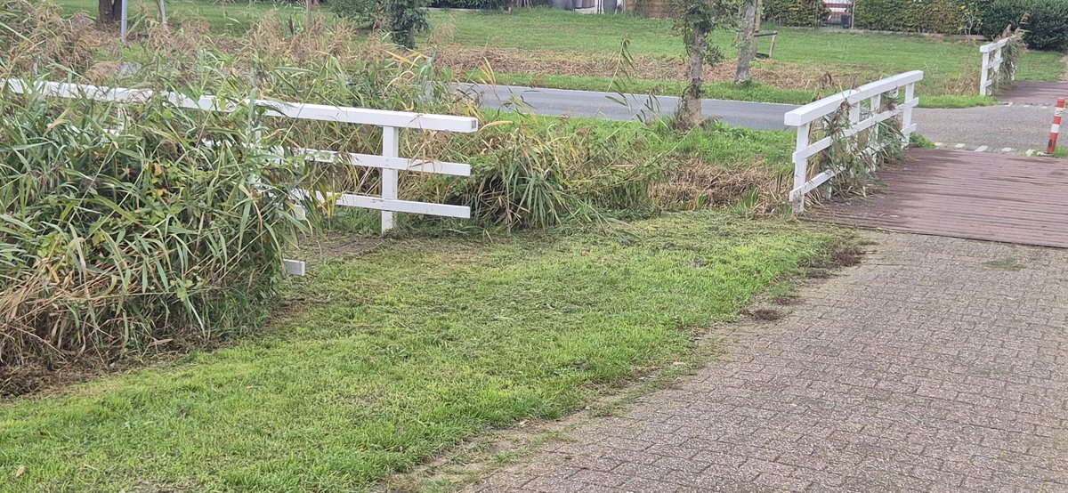 Sveaparken, van paradepaardje naar vergeten tuin schiedam24.nl/artikel/sveapa…