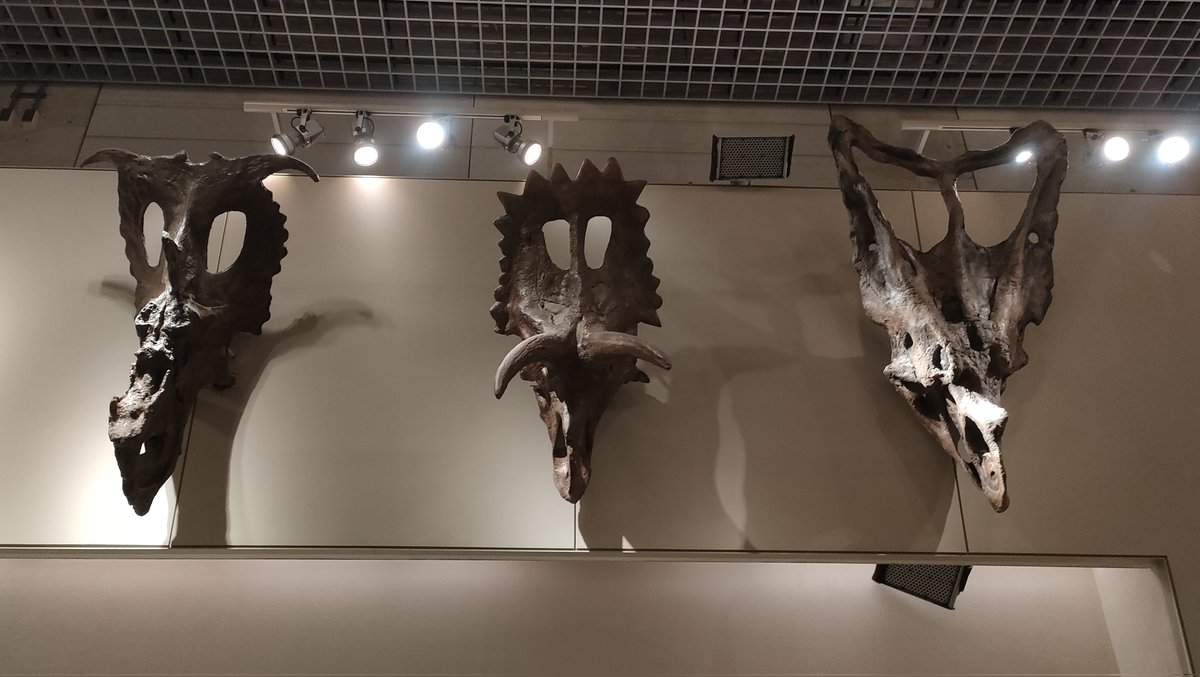 5番目のディスク (@disk_05) / Posts / X