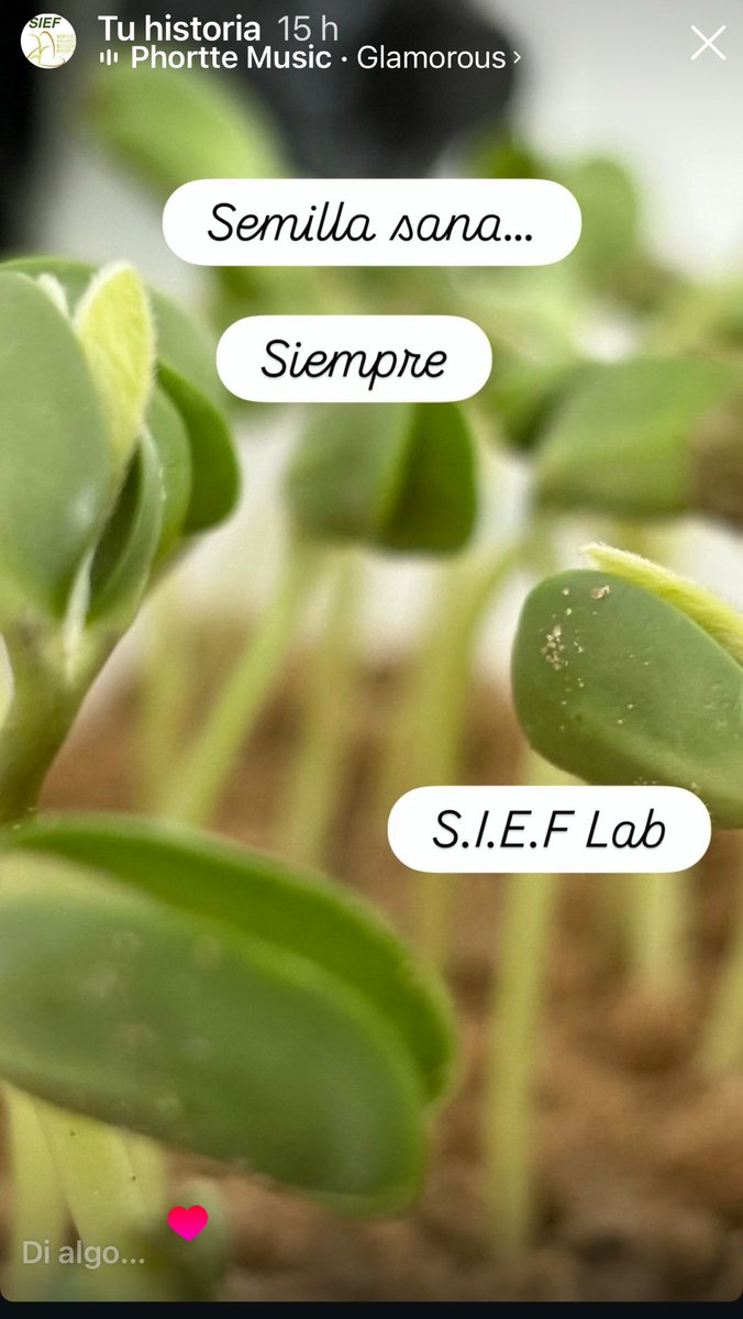 Cristina Palacio (@ccpalaciosief) on Twitter photo 