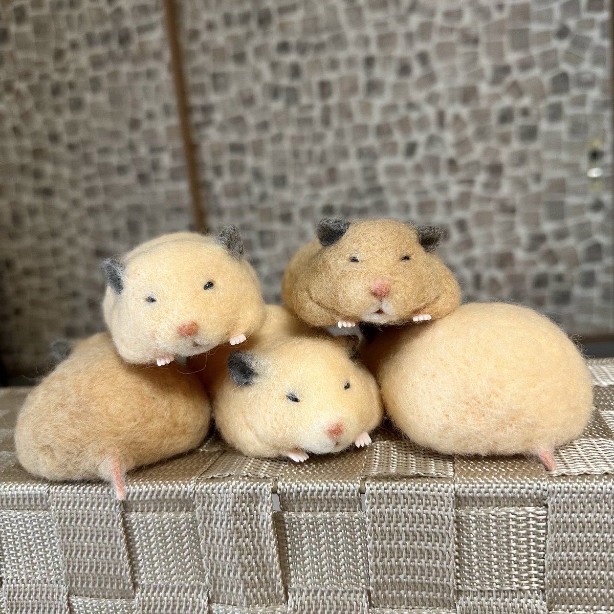 明日のマルシェはキンクマのみの販売だじょーーー！！！現金とタッチ決済が使えるようになったじょーーー！！！