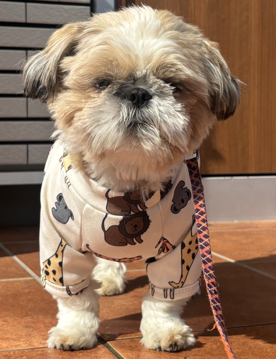 riiiadeza0403's tweet image. 🎨初投稿🎨

名前:riiia🐶
経歴:短大🎓→🏨🏮🦺🤱👨‍🎨←イマココ
勉強:🤱5年目で閉園となりやむを得ず退職、4月から休息しつつwebDesignの勉強を始める。R704/#Raisetech に加入しつつ休息
R705/本当にIT業界に目指すのか進路について真面目に考える
R706/勉強することを決意！

夢:🥚から🐓になる！！