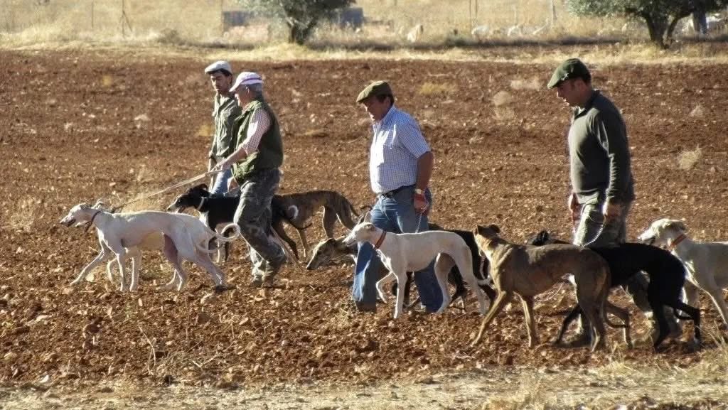 plataforma_NAC's tweet photo. 🔴 @ecologistas en Acción pide la retirada del borrador del reglamento de Caza y que se abra debate

El Gob de Castilla-La Mancha "quiere aprobar por la vía exprés el borrador de decreto despreciando cualquier opinión que no sea la del lobby cinegético"

👉🏻https://t.co/EWQP7pLnXp https://t.co/mfnJk8oO4P