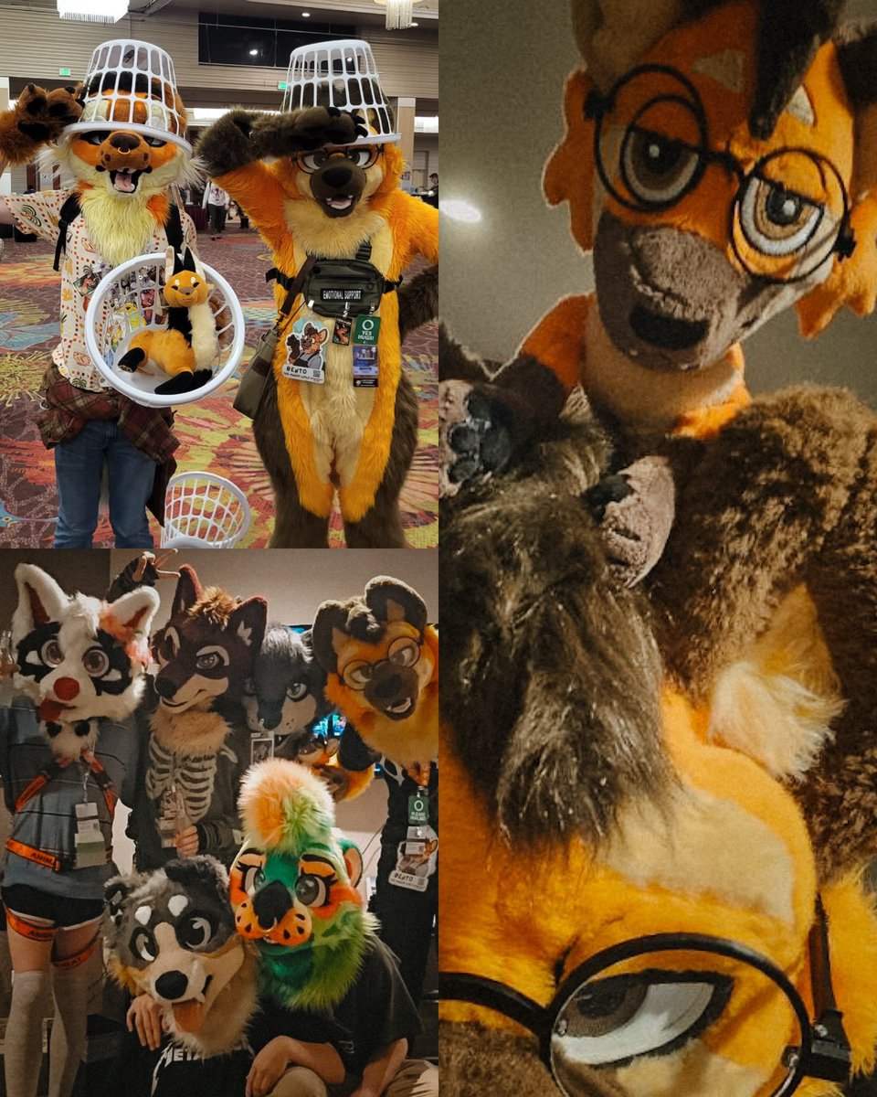 manedbento's tweet photo. I had an absolute blast at #BLFC! This was definitely an unforgettable trip, and I’m thankful to have made some great memories, and new friends ☺️

#fursuit #blfc25 #furry https://t.co/GOqMePSoQR