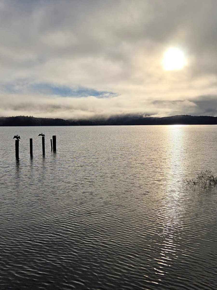 🌿Tranquil Loch Lomond - We hope to welcome you to The Inn on Loch Lomond 😍 #lochlomond #inverbeg #innonlochlomond #lochlomondinn #lochlomondaccommodation #lochlomondhotel  innonlochlomond.co.uk