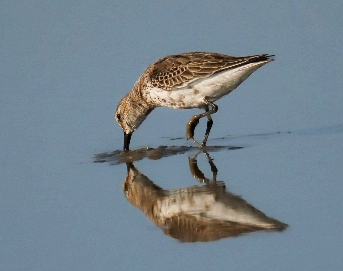 ❤️
rüzgar sen kokuyor…ten kokuyor..
uzanmışım toprağa aklım sende,
sesler geliyor derinden...
hayaller gözü kapalı hikayeler, eskiden…
cam kırıkları düşüyor..hüzün esiyor,
gitsem uçup gitsem kanatlarımı takıp,
bir tohum tanesi yeşermez mi… başka yerde.
vedatateş