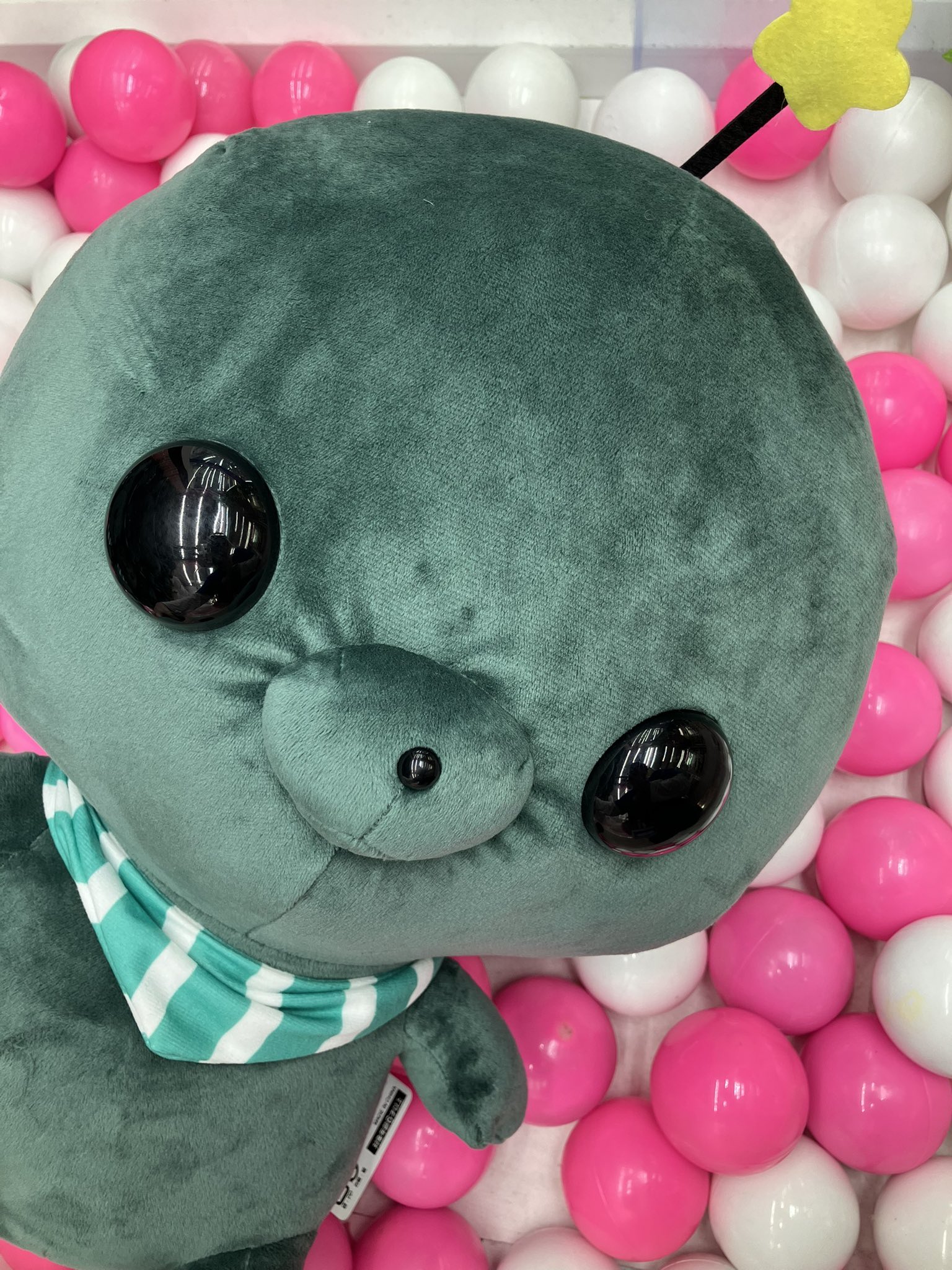 ドラマ下北沢（プライズ専門店） on X: 