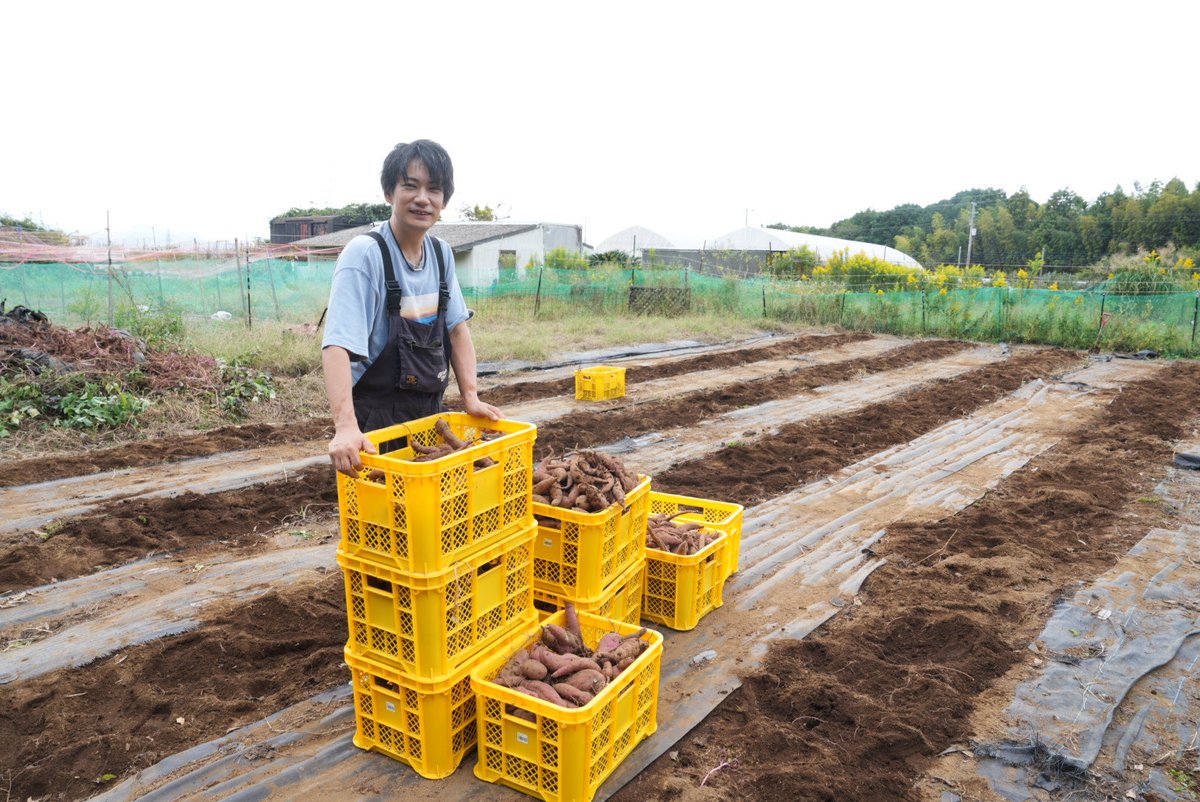 ミュージック Cocoa Cocoa and the Time Machine (ZX Spectrum & MSX) by Minilop