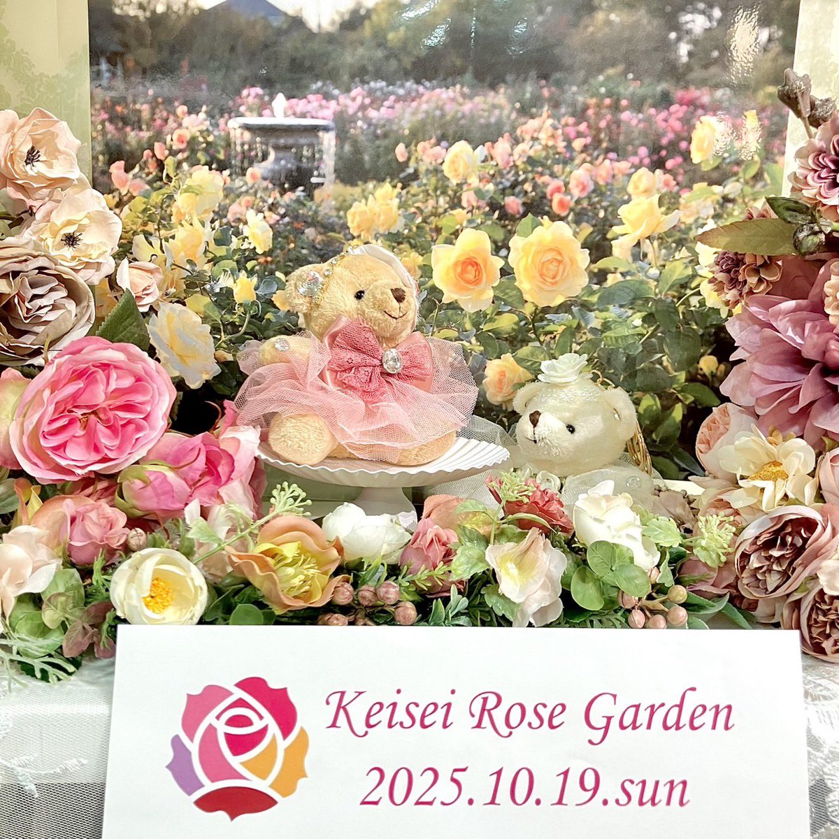 京成バラ園【公式】 on X: 