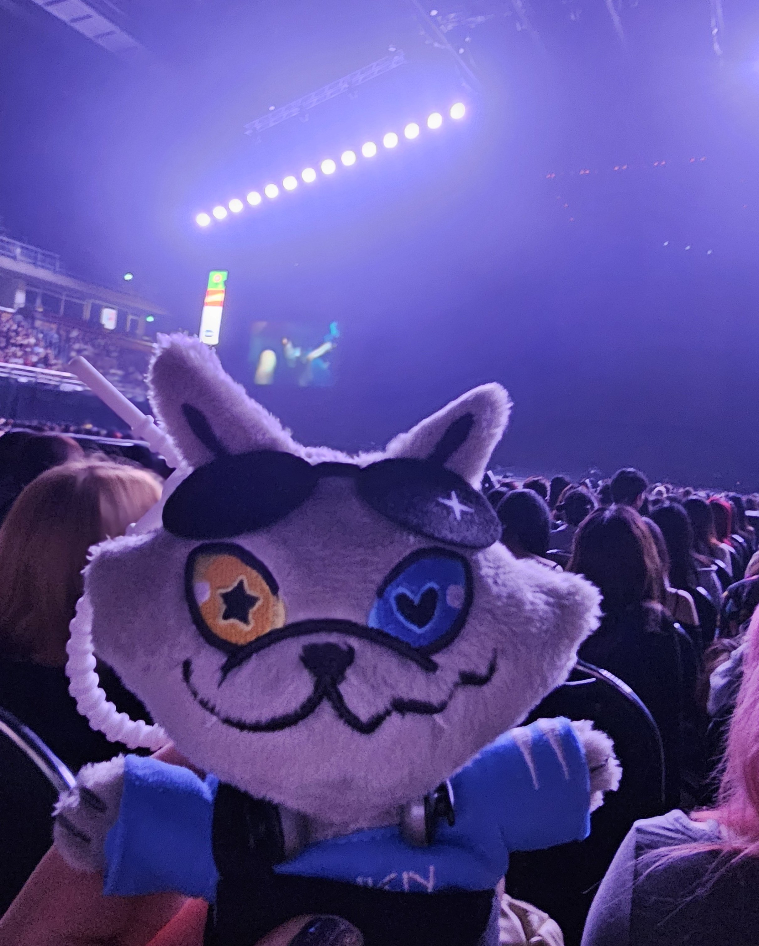 こーくん☆様 ブースターパック 星火燎原編 爆照！一番星 ｜ Z/X - Zillions