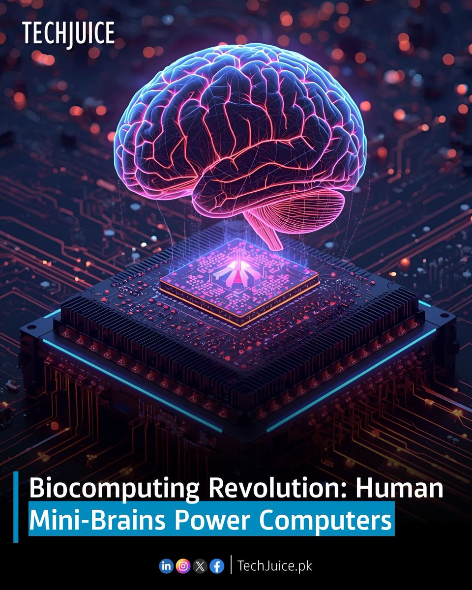 TechJuicePk's tweet image. Biocomputing Revolution: Human Mini-Brains Power Computers.
Scientists are using lab-grown human mini-brains in biocomputing to power computers, marking a revolutionary step in merging biology with technology. 
#techjuice #biocomputing #finalspark #ai #neuroscience #biotech