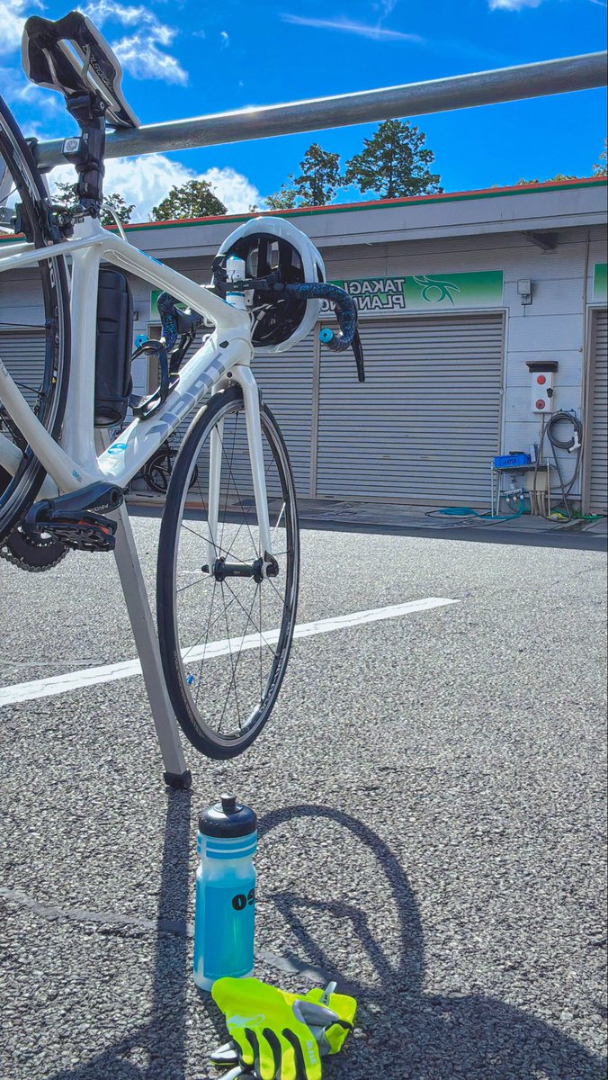 カモミール♡ Amazon.co.jp: ローマンカモミール【ハーブ苗9cmポット/3個