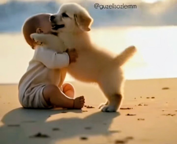 💫  " Bir  gün  yaşadığın 

Her  şeyin  bir  ANLAMI 

Olduğunu  anlayacaksın ." 

#sevgi
#anlam
#ahlak
#edep