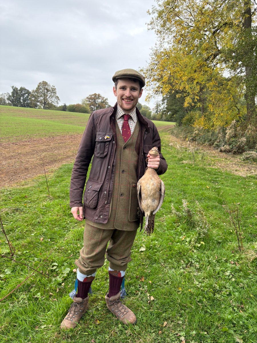 Joe Reeve - π¬π§/acc (@isnit0) on Twitter photo GM to all, except the pheasants who are having an astoundingly BM GM to all, except the pheasants who are having an astoundingly BM